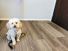 B/C APARTMENT Asakusa Hanazono Dori Hotel with Rental Car and Sauna