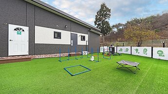 Anmyeondo Town 1967 Dog Pool Villa