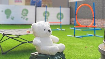 Anmyeondo Town 1967 Dog Pool Villa