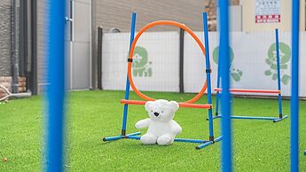 Anmyeondo Town 1967 Dog Pool Villa