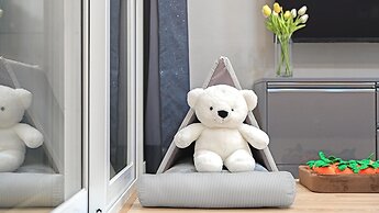 Anmyeondo Town 1967 Dog Pool Villa