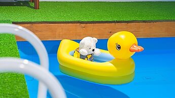 Anmyeondo Town 1967 Dog Pool Villa