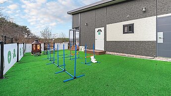 Anmyeondo Town 1967 Dog Pool Villa