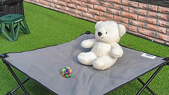 Anmyeondo Town 1967 Dog Pool Villa