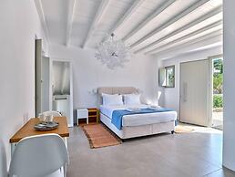 La Vitalite Luxury Villa in Paros