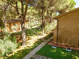 Residence with pool in Guardistallo