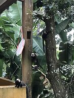 Pousada Alto da Praia