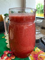 Airpoint Pousada Ecológica