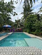 Nghenh Xuan Farm - WellSpring Farm