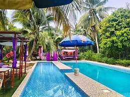 Nghenh Xuan Farm - WellSpring Farm