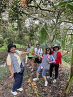 Nghenh Xuan Farm - WellSpring Farm