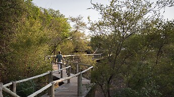 Mashatu Lodge - Mashatu Game Reserve