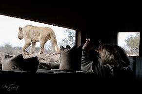 Mashatu Lodge - Mashatu Game Reserve