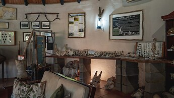 Mashatu Lodge - Mashatu Game Reserve