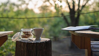 Mashatu Lodge - Mashatu Game Reserve