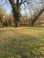 The swan inn