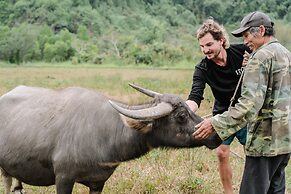 Honey Boutique Cruise