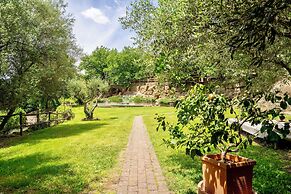 Residence with swimming pool in Sorano