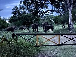 The Wild Farms By Gwestai