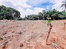 Recanto das Videiras