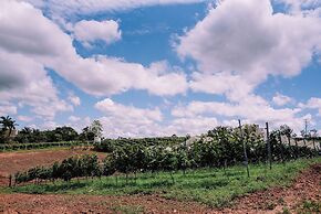 Recanto das Videiras