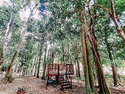 Recanto das Videiras