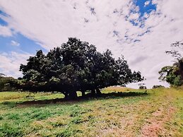 Recanto das Videiras