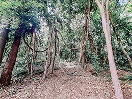 Recanto das Videiras