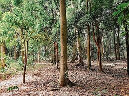 Recanto das Videiras