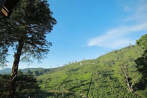 Single Tree Mount Hotel