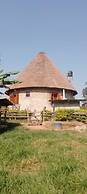 White Cat Farm Hut Inn