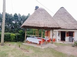 White Cat Farm Hut Inn