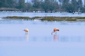 Golden Lake Residence III