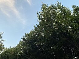 Nha San Ngan Chai Homestay