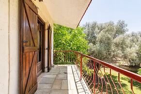 Estate Villa OINOI with Pool