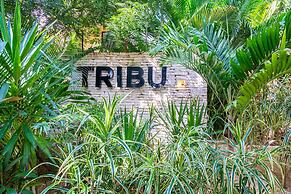 Tribu by Casago
