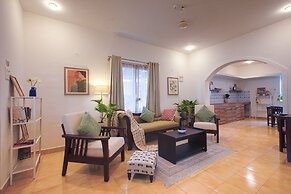 Woodpegger By The Beach