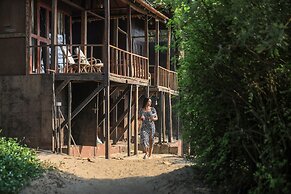 Woodpegger By The Beach