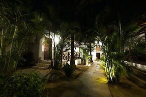 Woodpegger By The Beach