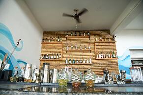 Woodpegger By The Beach