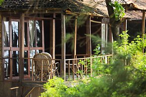 Woodpegger By The Beach