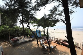 Woodpegger By The Beach