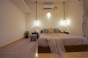 Woodpegger By The Beach