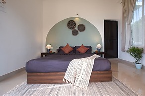 Woodpegger By The Beach