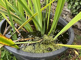 Luxury Shepherd's Hut Style Cabin With Views