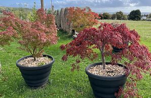Luxury Shepherd's Hut Style Cabin With Views