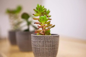 Exclusive New Modern Apartment at Syntagma Square