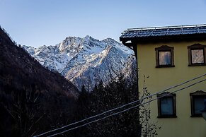 Mirtillo Alpino