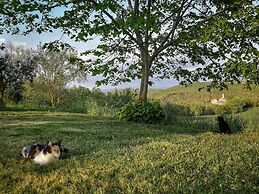 Agriturismo Casa Greppo - L'Ulivo