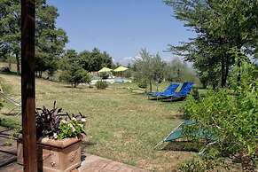 Agriturismo Casa Greppo - L'Ulivo